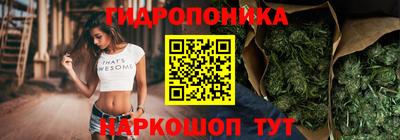 трава Камышлов