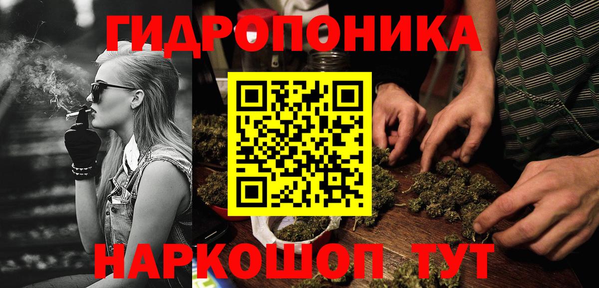 Бошки марихуана марихуана Грозный